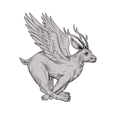 Detail Wolpertinger Drawing Nomer 15