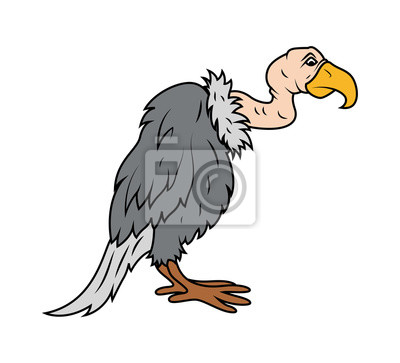 Geier Vogel - KibrisPDR