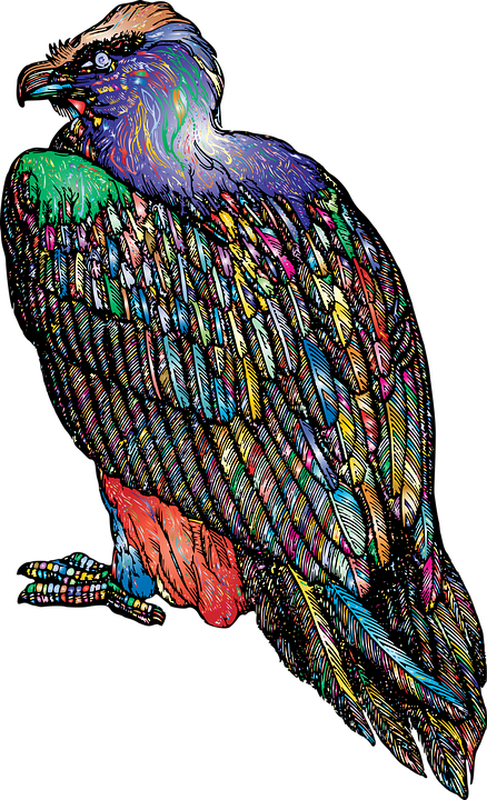 Detail Geier Vogel Nomer 9