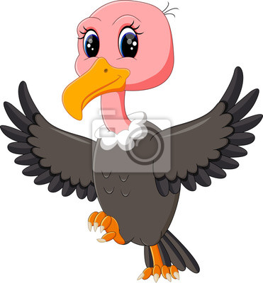 Detail Geier Vogel Nomer 12