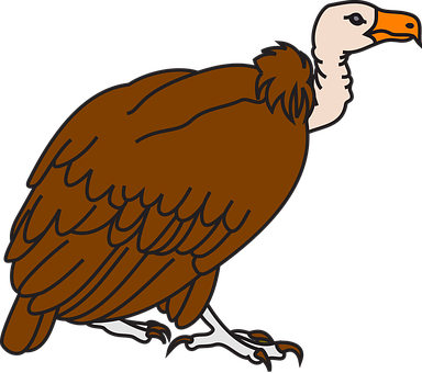 Detail Geier Vogel Nomer 2