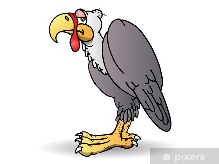 Detail Geier Vogel Nomer 17