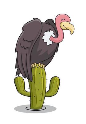 Detail Geier Vogel Nomer 22