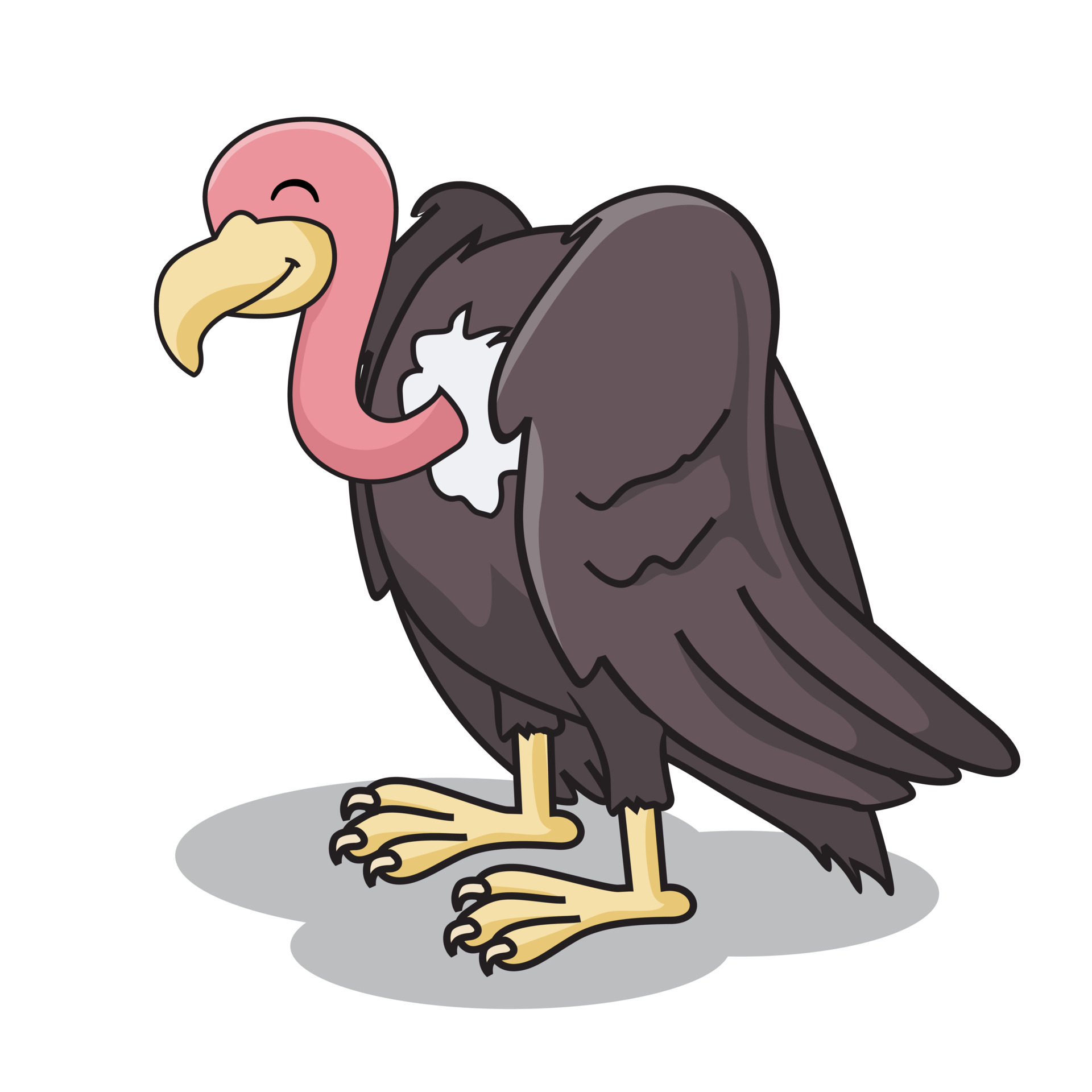 Detail Geier Vogel Nomer 3