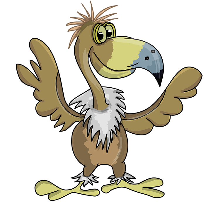 Detail Geier Vogel Nomer 7