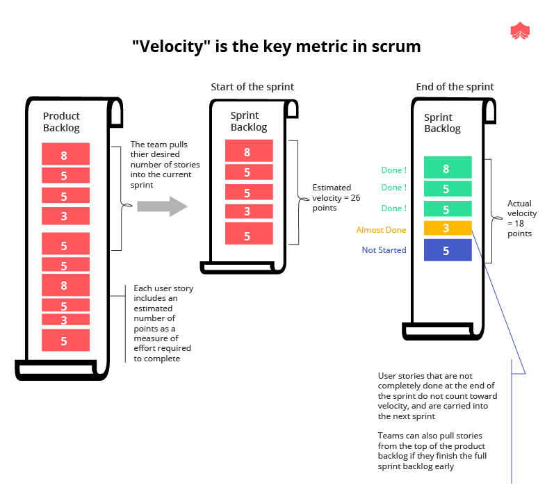 Detail Scrum Organigramm Nomer 12