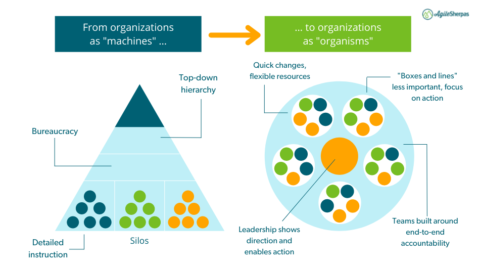 Detail Scrum Organigramm Nomer 8