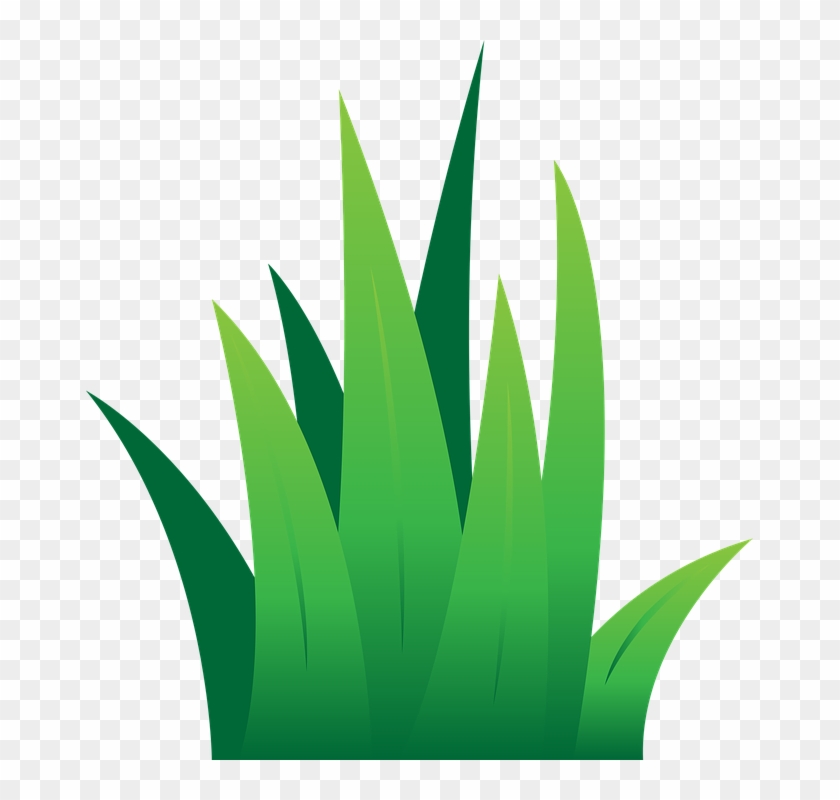 Detail Illustrator Free Nomer 15