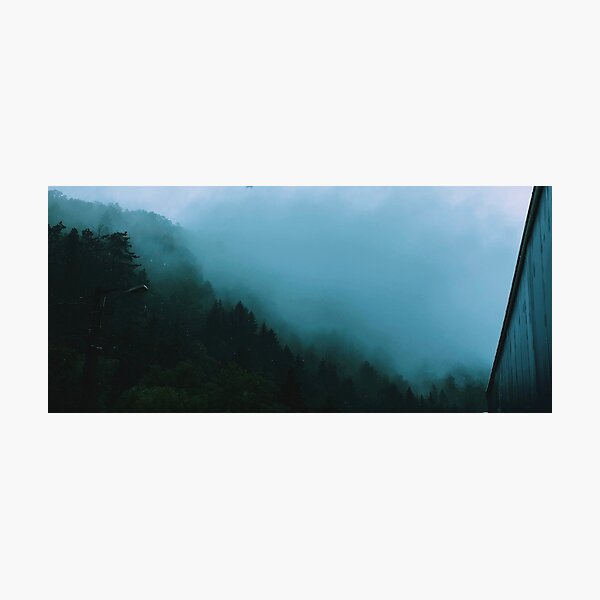 Detail Wald Nebel Nomer 15