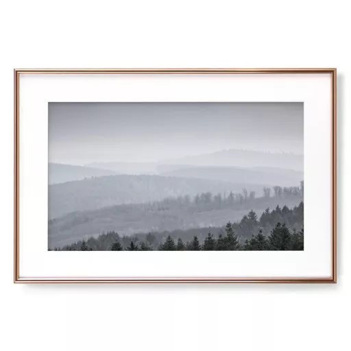Detail Wald Nebel Nomer 21