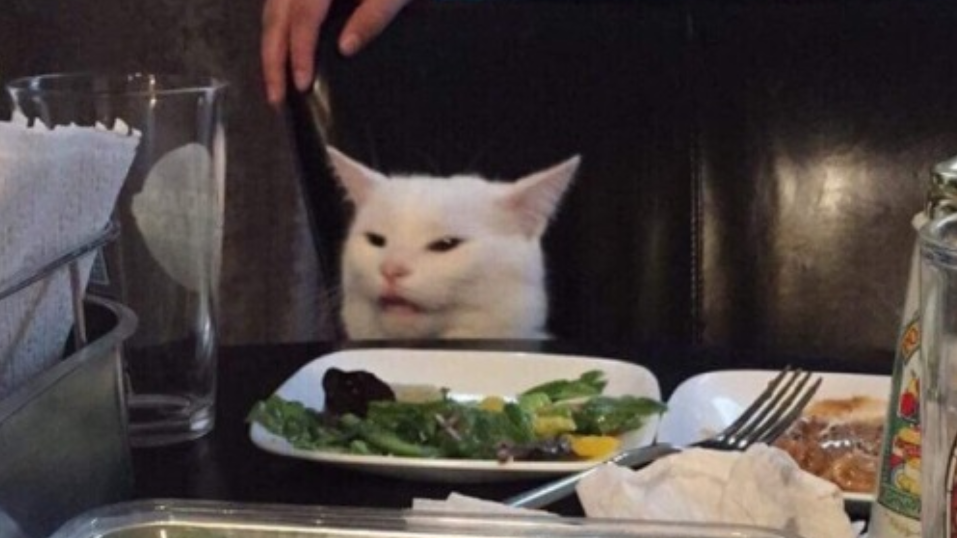 Detail A Cat Meme Nomer 8