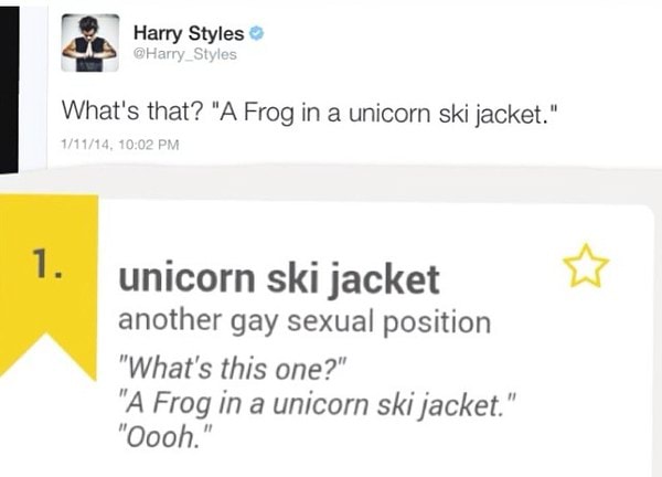 Detail A Frog In A Unicorn Ski Jacket Nomer 13