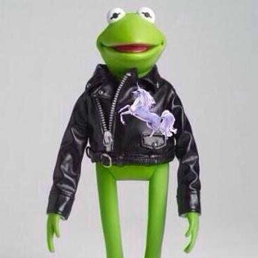 Detail A Frog In A Unicorn Ski Jacket Nomer 3