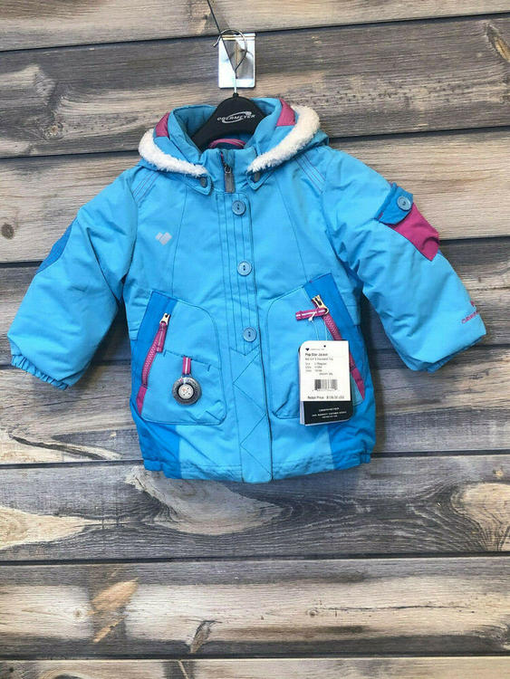 Detail A Frog In A Unicorn Ski Jacket Nomer 32