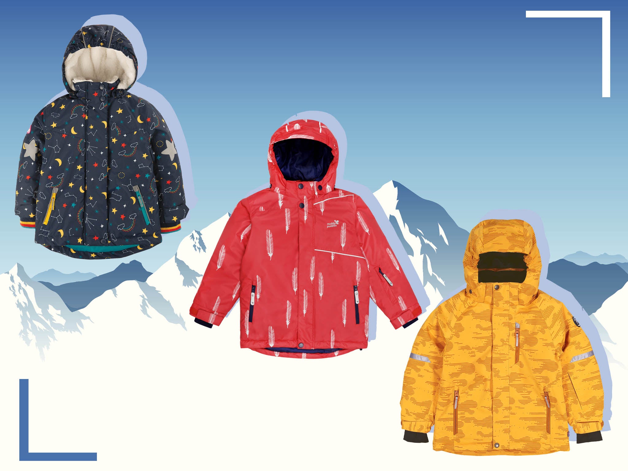 Detail A Frog In A Unicorn Ski Jacket Nomer 38