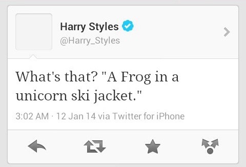 Detail A Frog In A Unicorn Ski Jacket Nomer 40