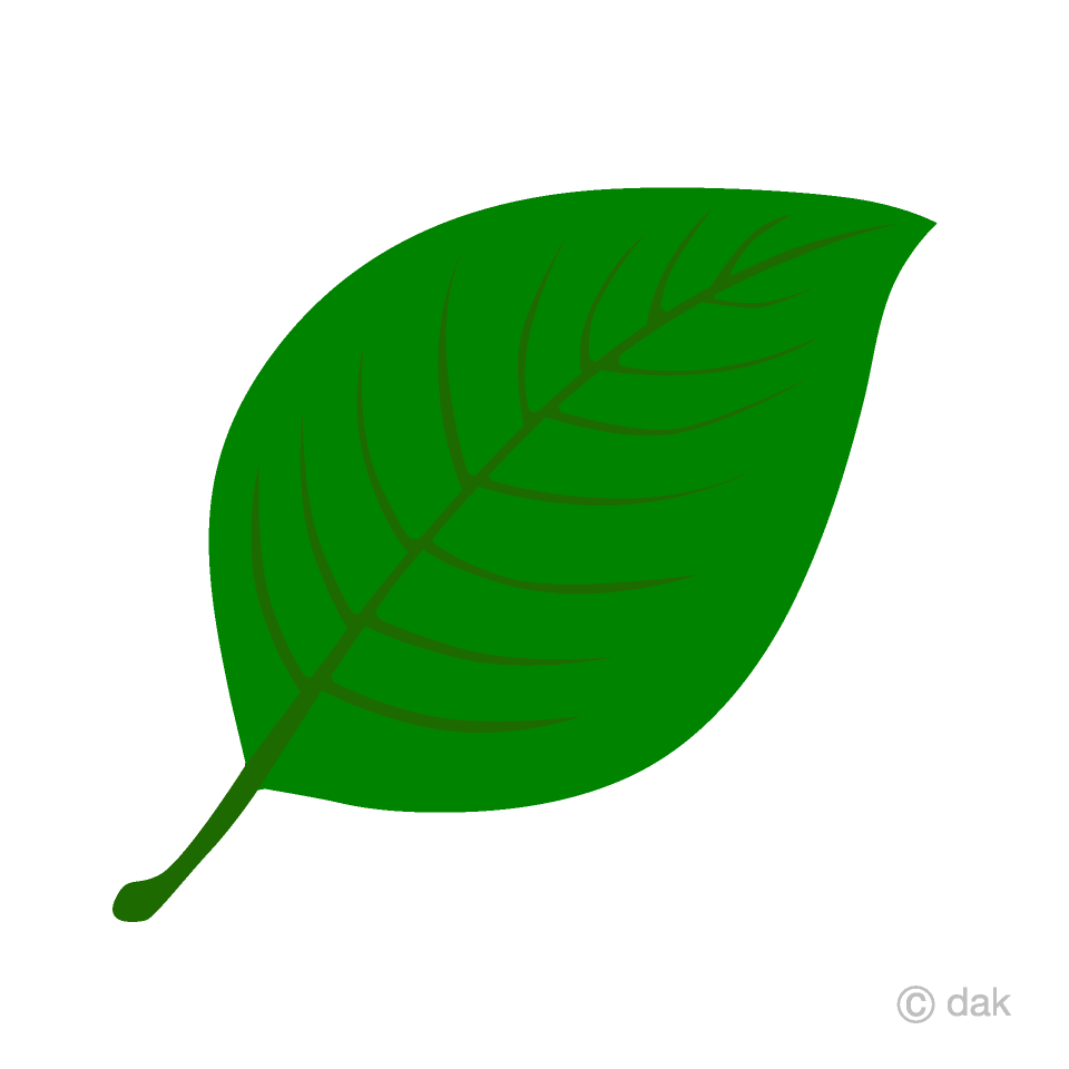 Detail A Green Leaf Nomer 18