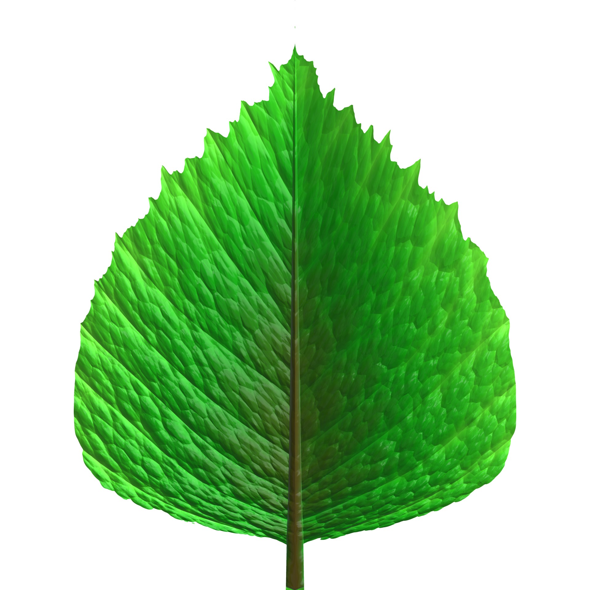 Detail A Green Leaf Nomer 8