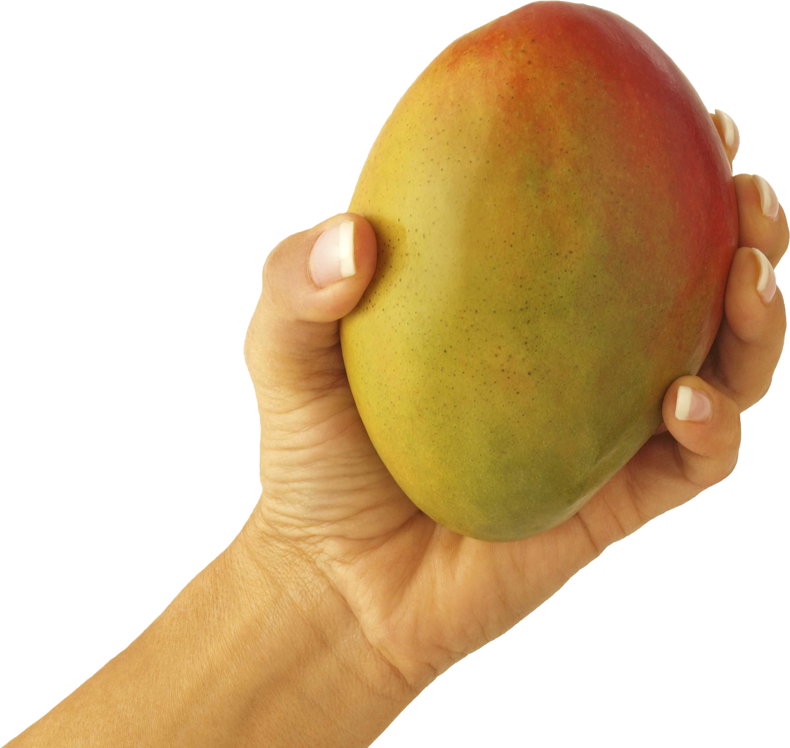 Detail A Mango In The Hand Nomer 2