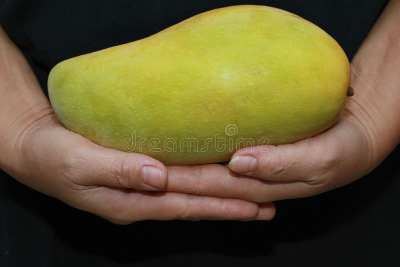 Detail A Mango In The Hand Nomer 11