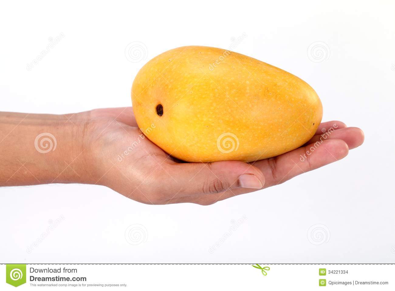 Detail A Mango In The Hand Nomer 12