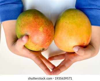 Detail A Mango In The Hand Nomer 17