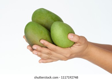 Detail A Mango In The Hand Nomer 18