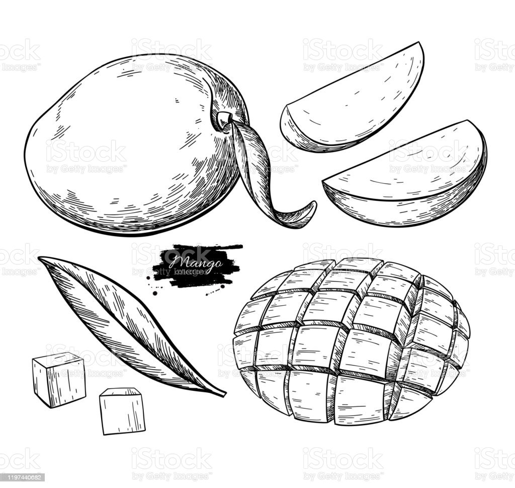 Detail A Mango In The Hand Nomer 19