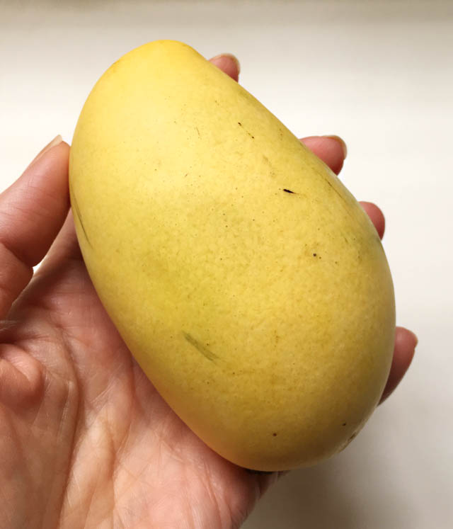 Detail A Mango In The Hand Nomer 20