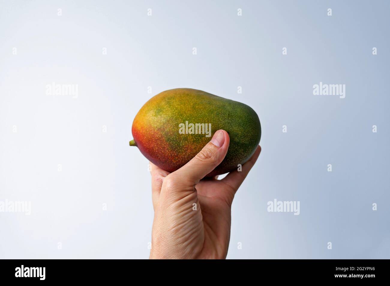Detail A Mango In The Hand Nomer 23