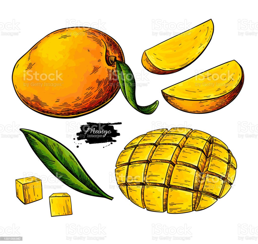 Detail A Mango In The Hand Nomer 24