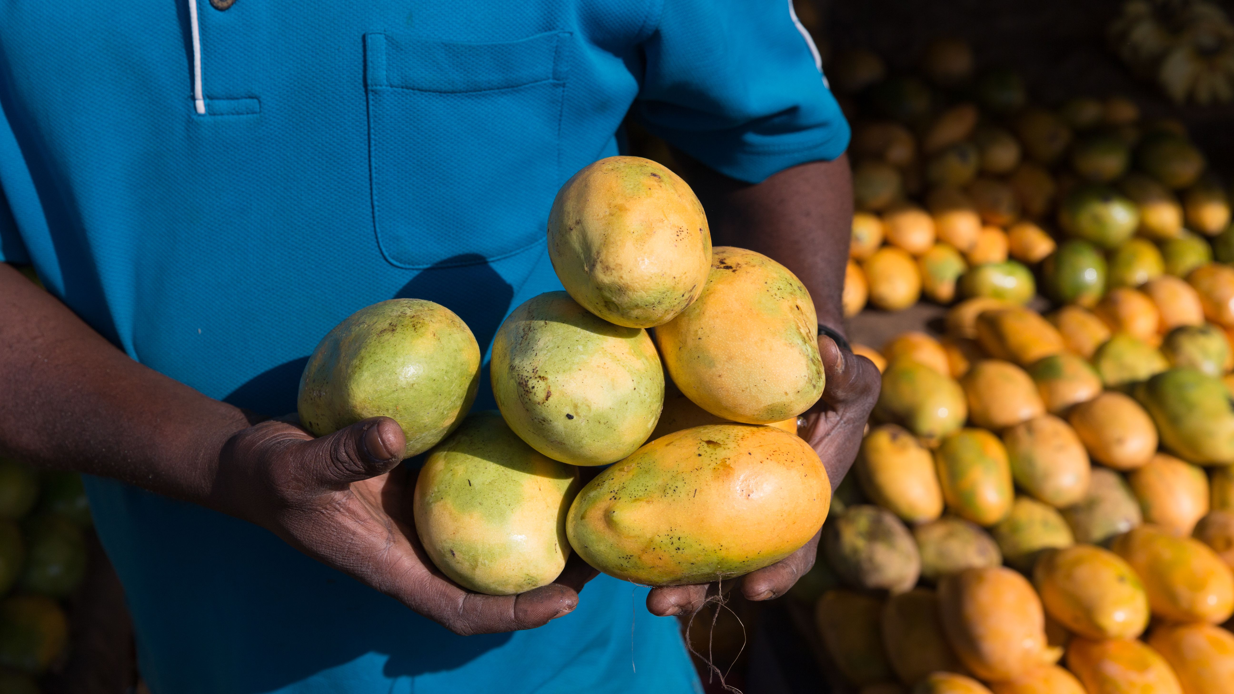 Detail A Mango In The Hand Nomer 27