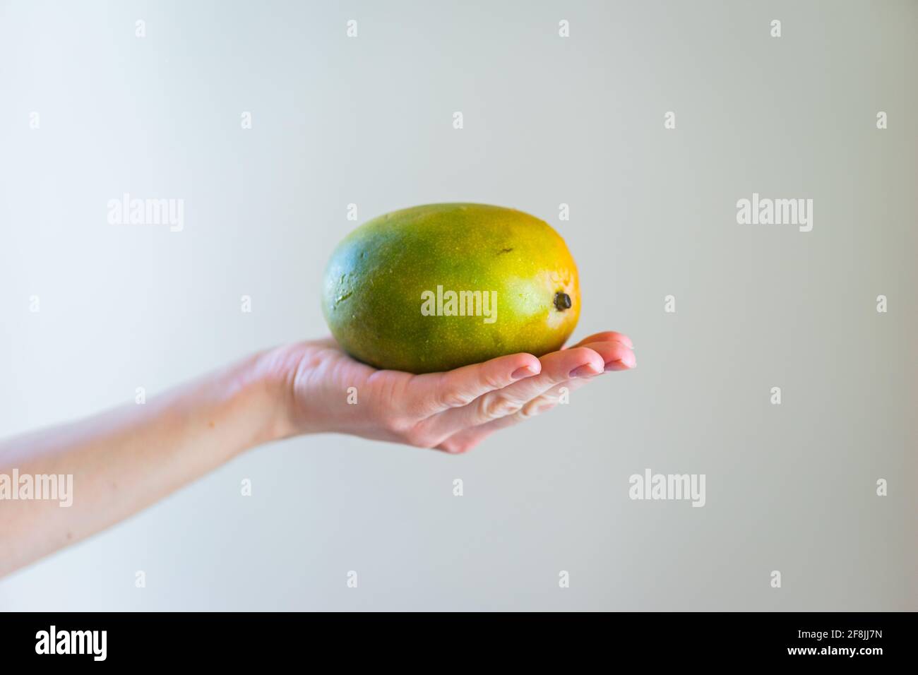 Detail A Mango In The Hand Nomer 37