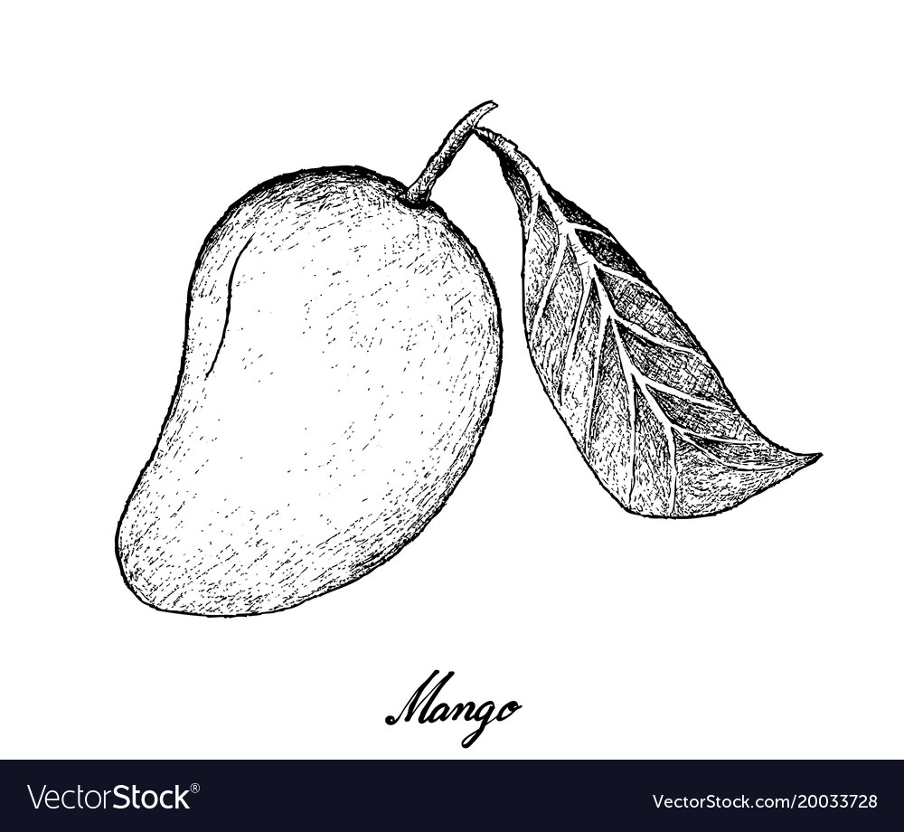 Detail A Mango In The Hand Nomer 43
