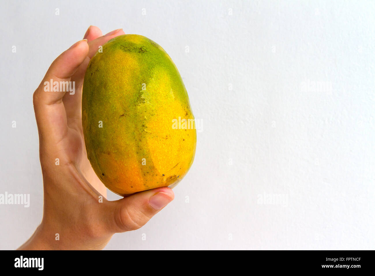 Detail A Mango In The Hand Nomer 46