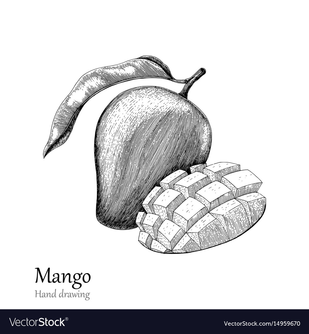 Detail A Mango In The Hand Nomer 50