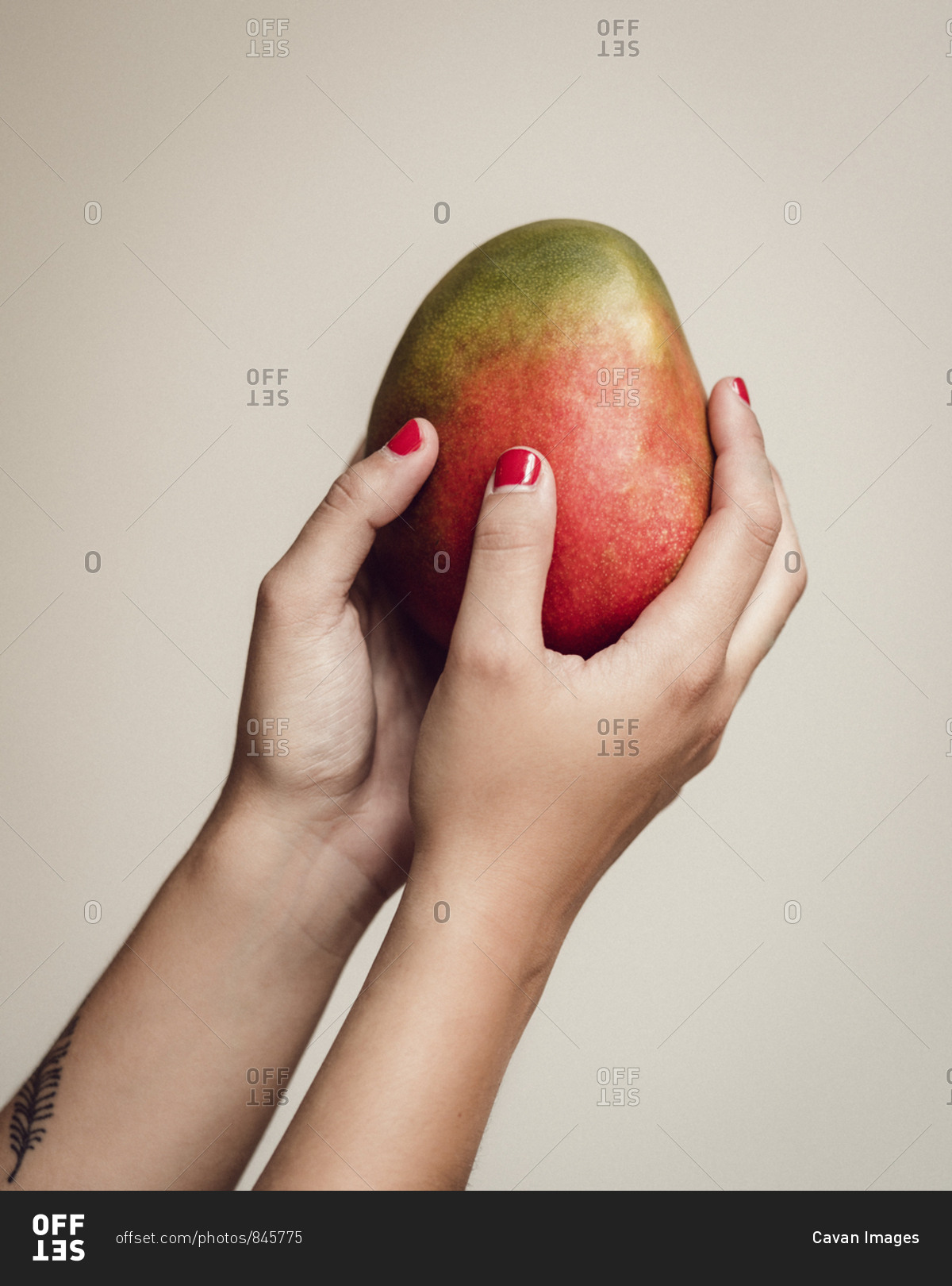 Detail A Mango In The Hand Nomer 6
