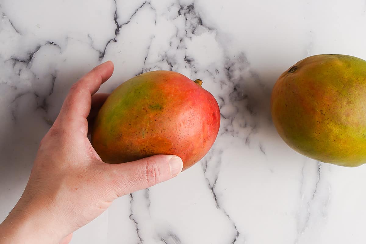 Detail A Mango In The Hand Nomer 51