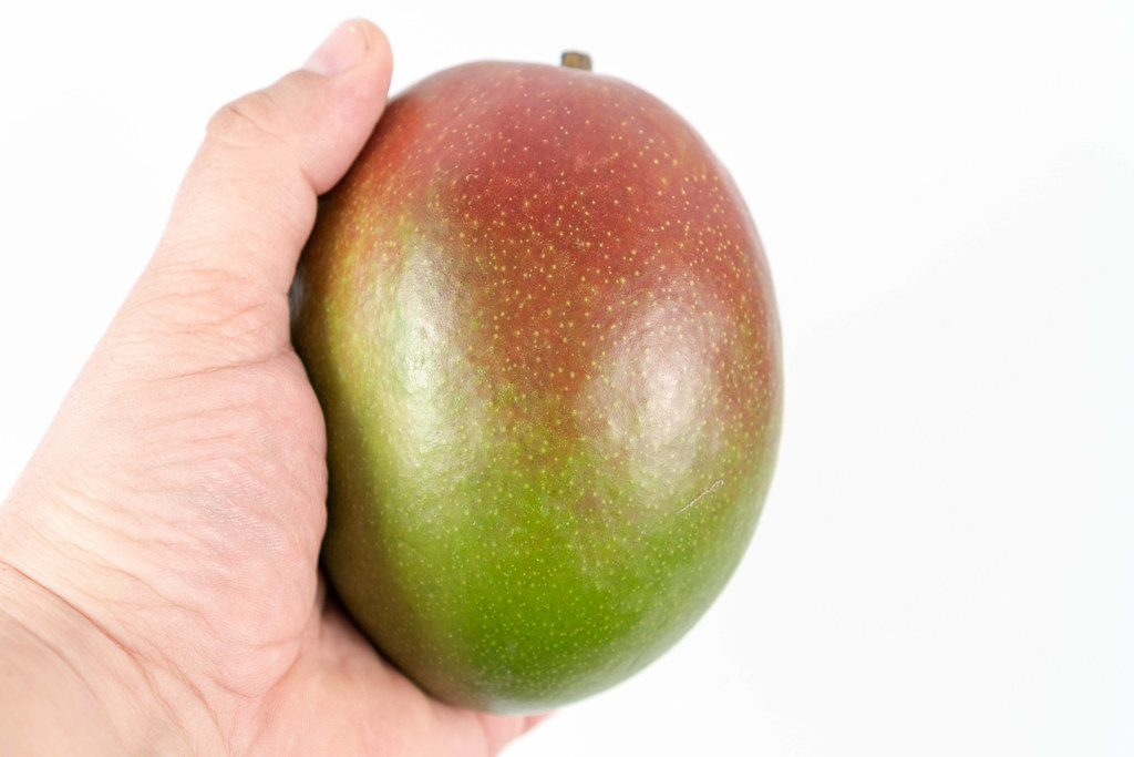 Detail A Mango In The Hand Nomer 56
