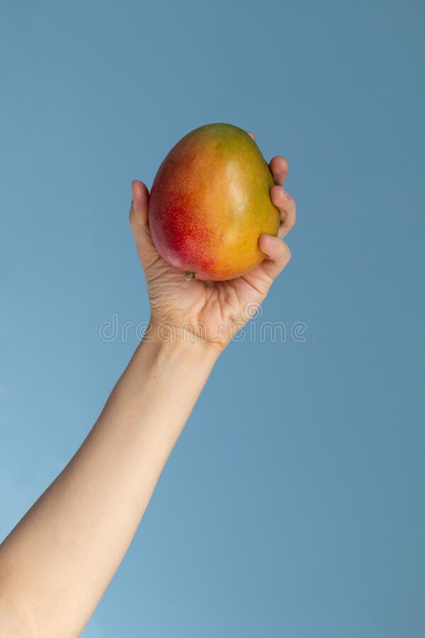 Detail A Mango In The Hand Nomer 8