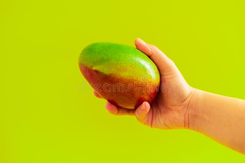 Detail A Mango In The Hand Nomer 10