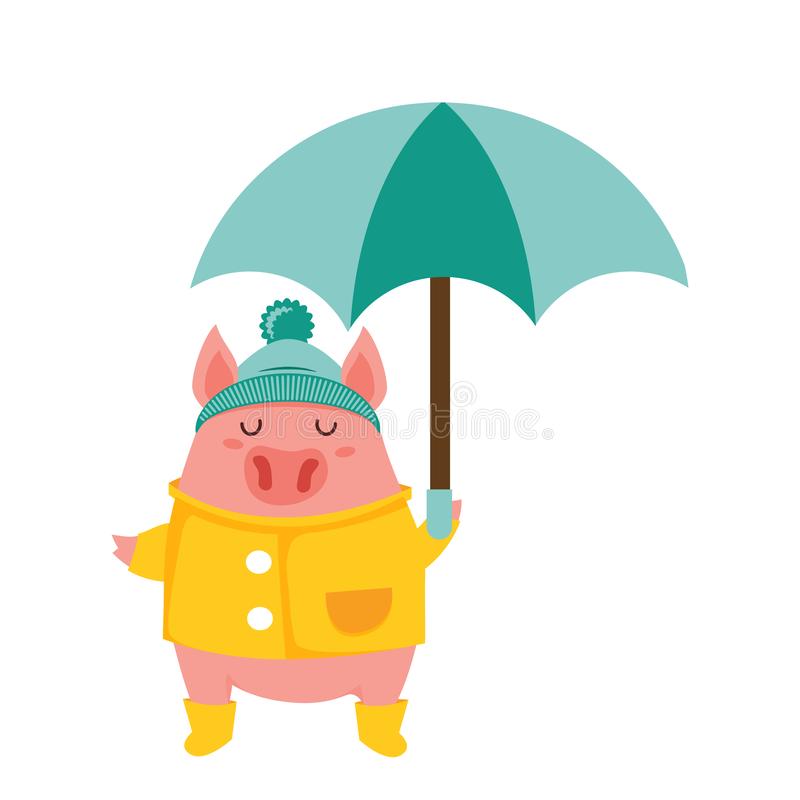 Detail A Micro Pig Wearing A Raincoat And Booties Nomer 34