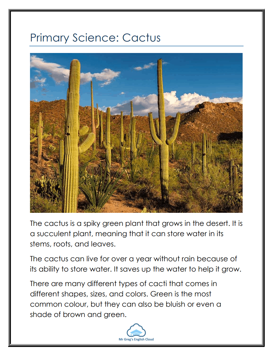 Detail A Picture Of A Cactus Nomer 59