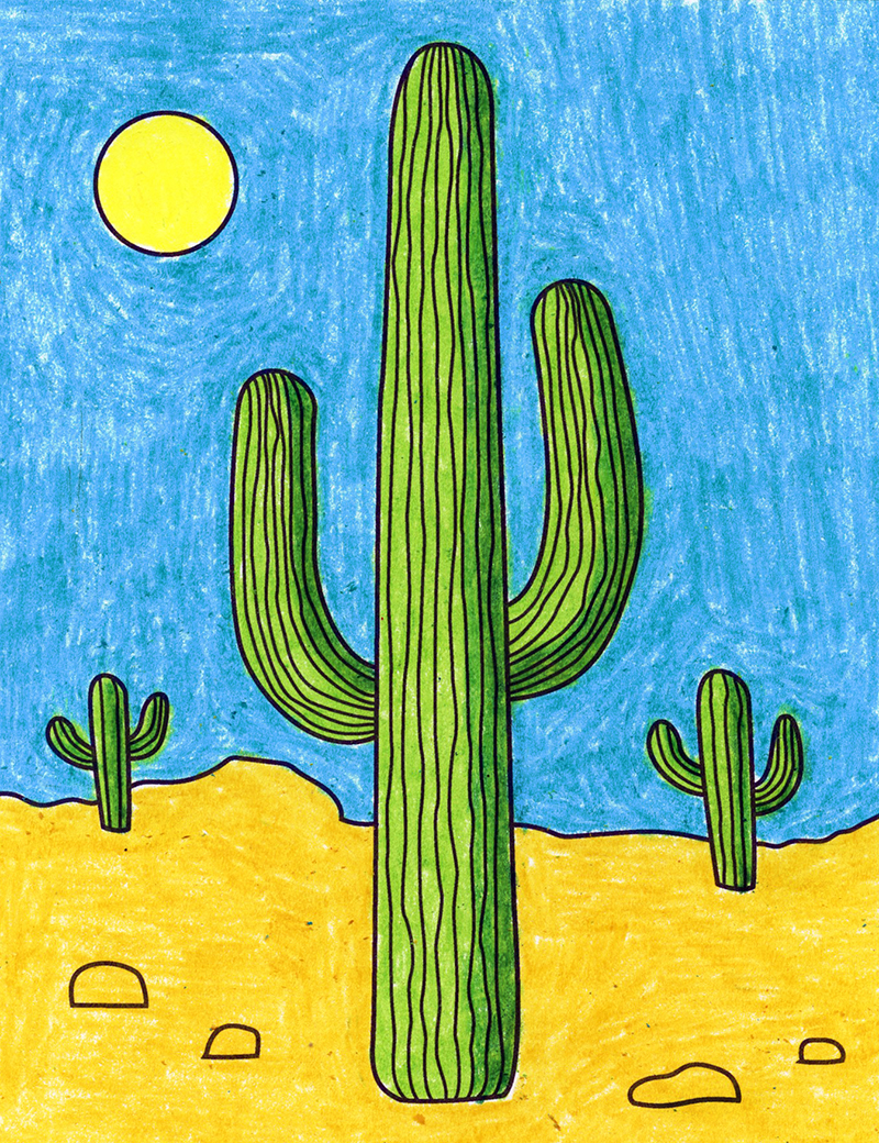 Detail A Picture Of A Cactus Nomer 7