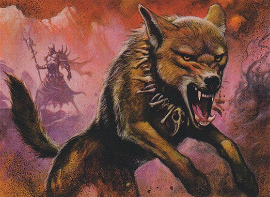 Detail A Picture Of A Jackal Nomer 23