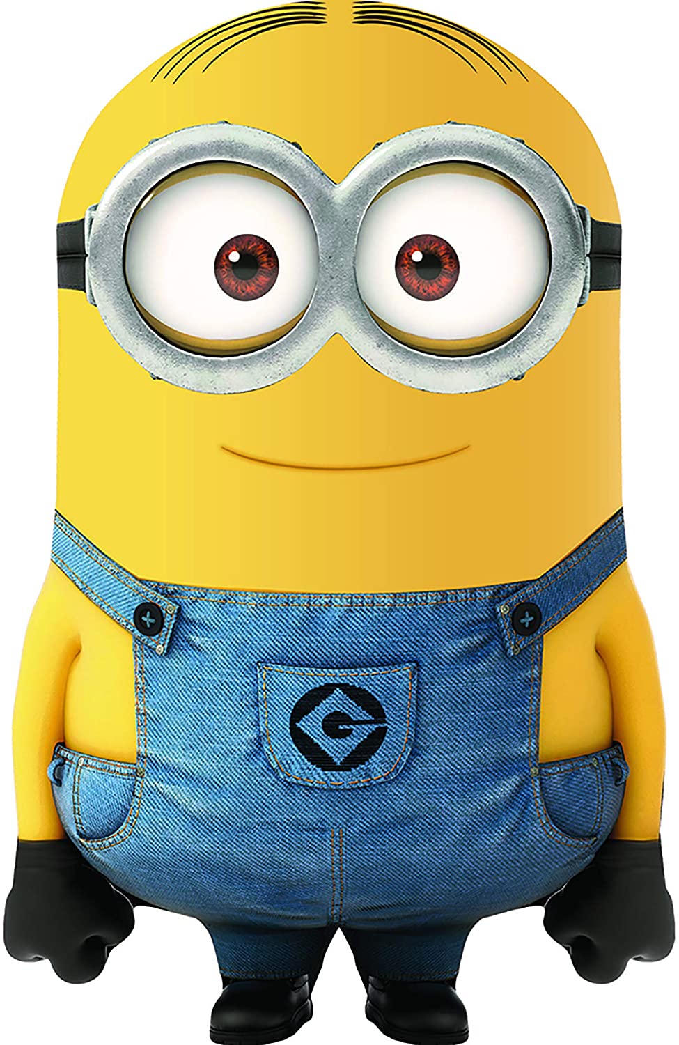 Detail A Picture Of A Minion Nomer 8