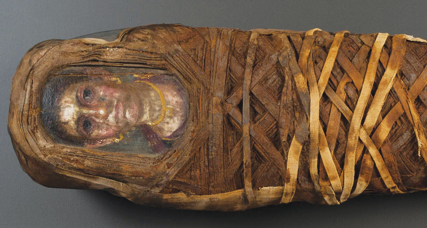Detail A Picture Of A Mummy Nomer 17