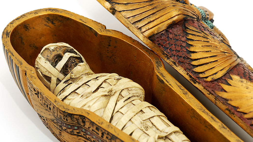 Detail A Picture Of A Mummy Nomer 3