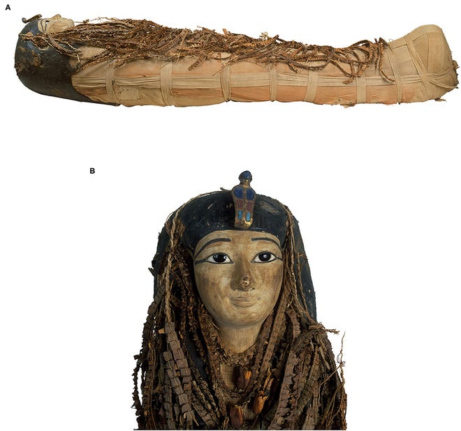 Detail A Picture Of A Mummy Nomer 21