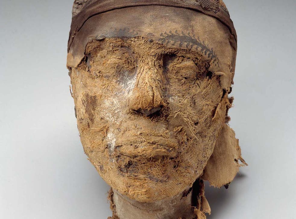 Detail A Picture Of A Mummy Nomer 4
